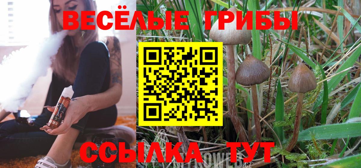 Кизляр  Псилоцибиновые грибы GOLDEN TEACHER  Галлюциногенные грибы MAGIC MUSHROOMS  Вход с VPN 